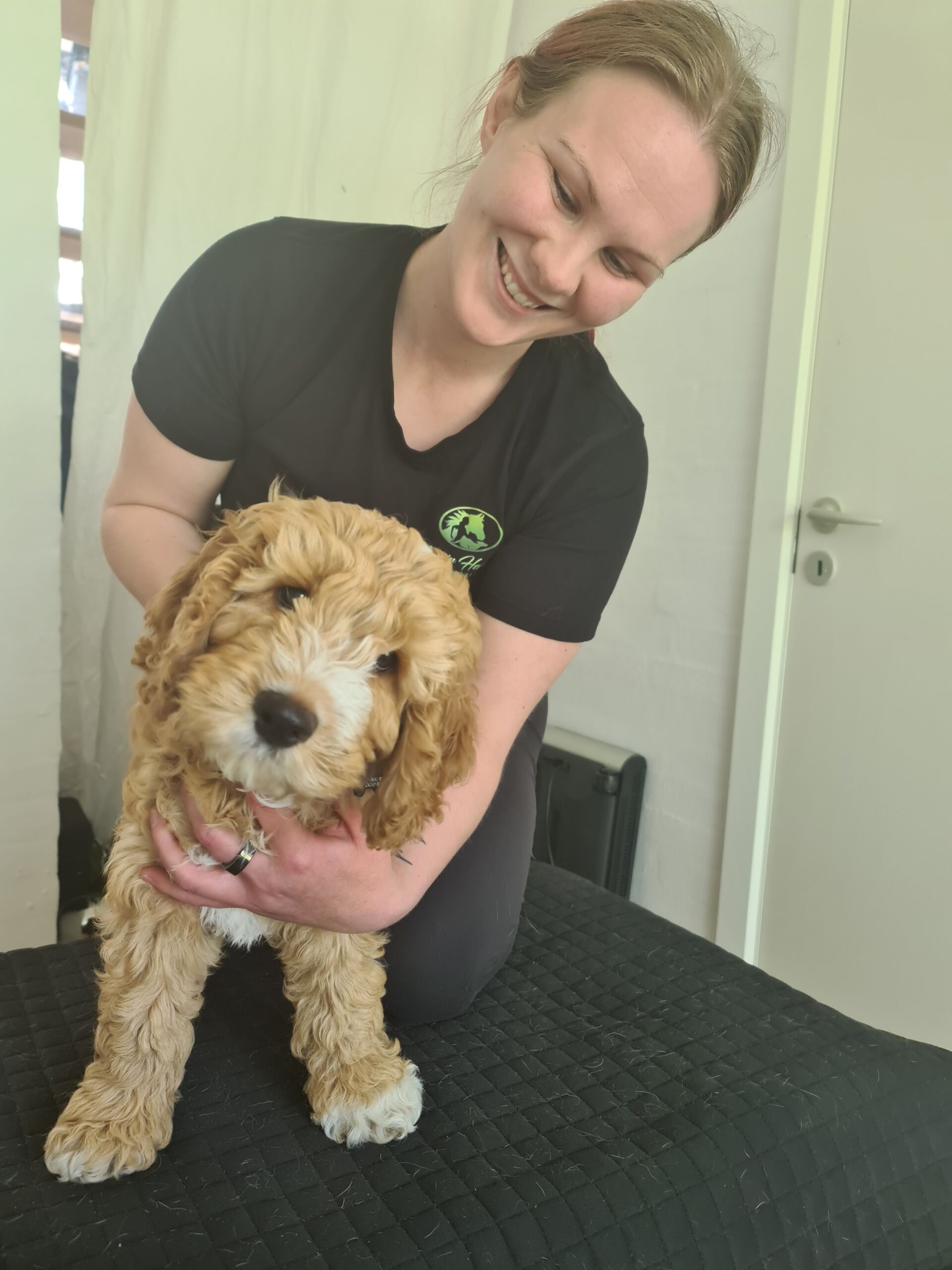 Trine Ahlmann Hansen laver kiropraktisk behandling på en hvalp