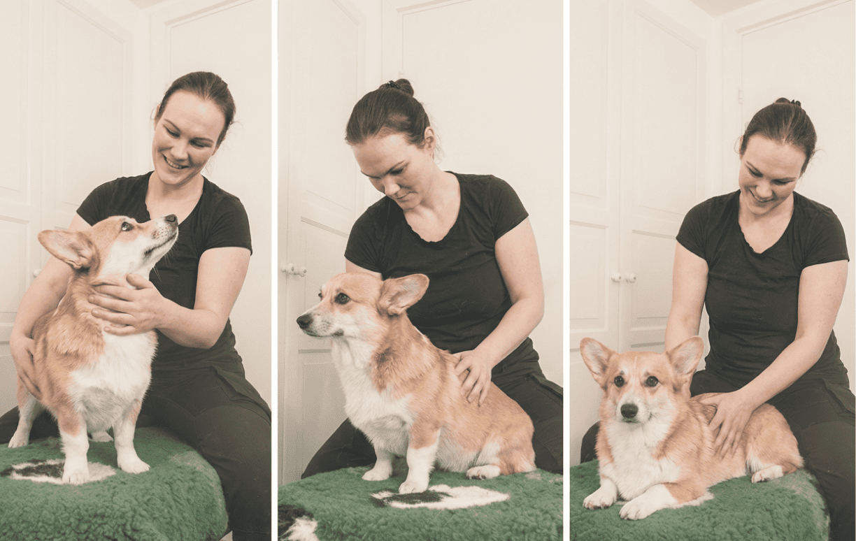 Historien bag Trine Ahlmann Hansen