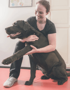 Manuel_behandling_hund